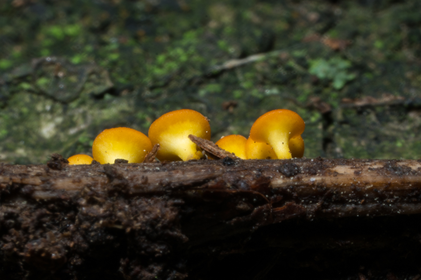 YDY04383.jpg