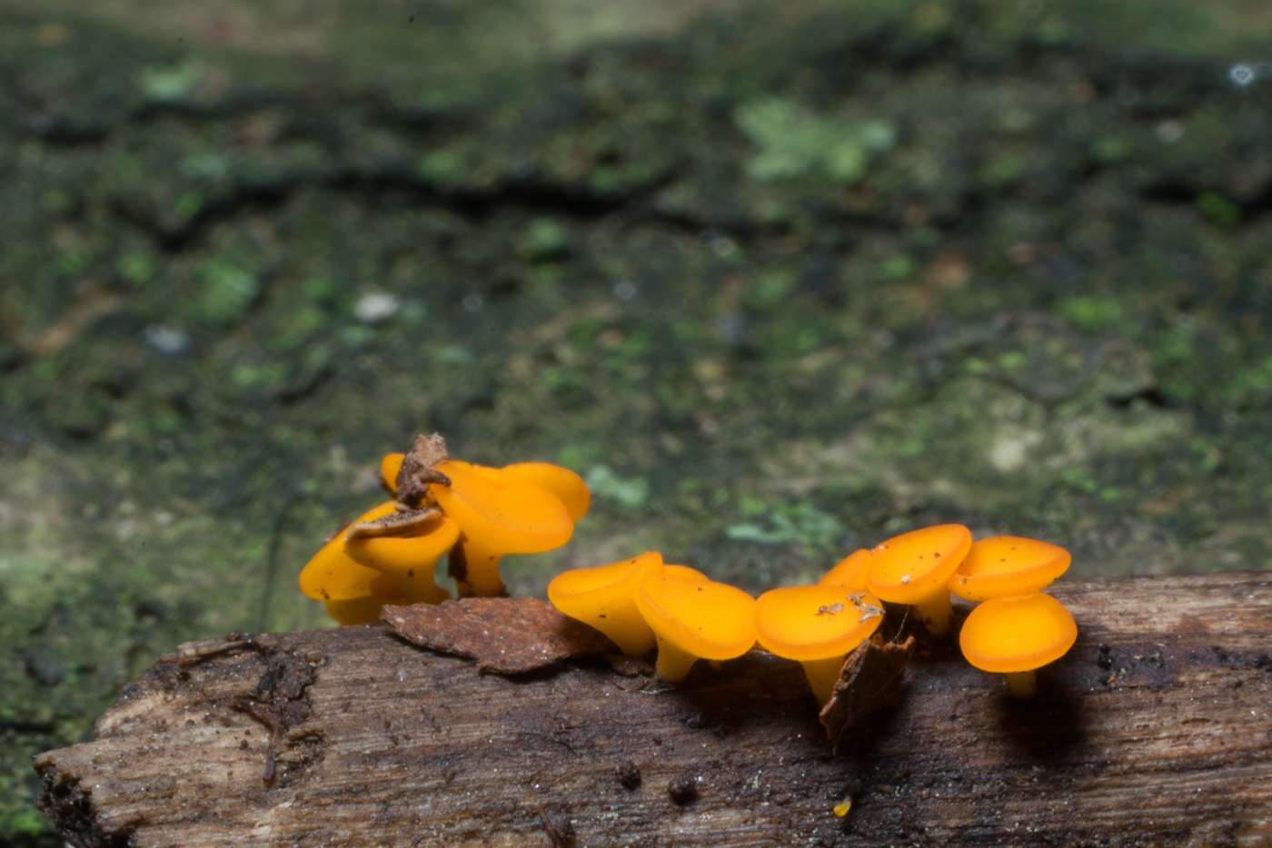 YDY04381.jpg