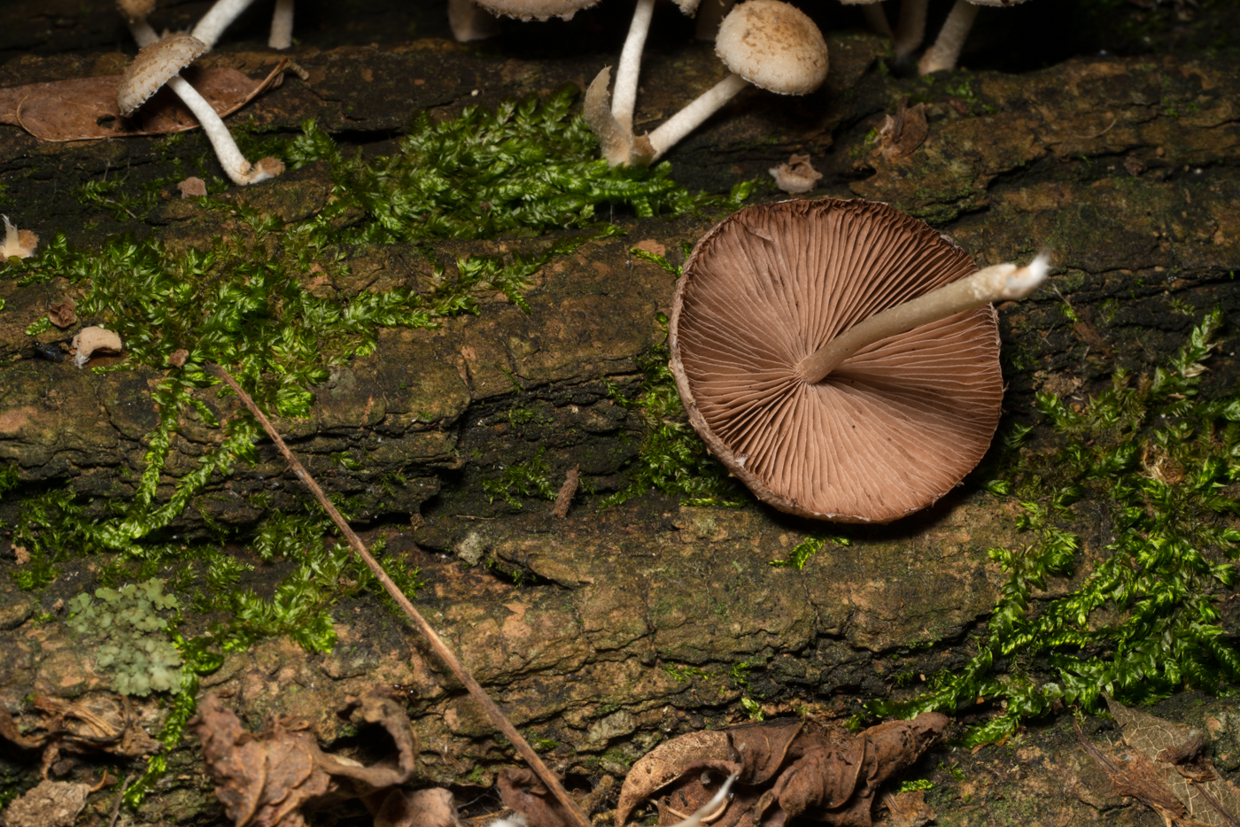 YDY08994.jpg