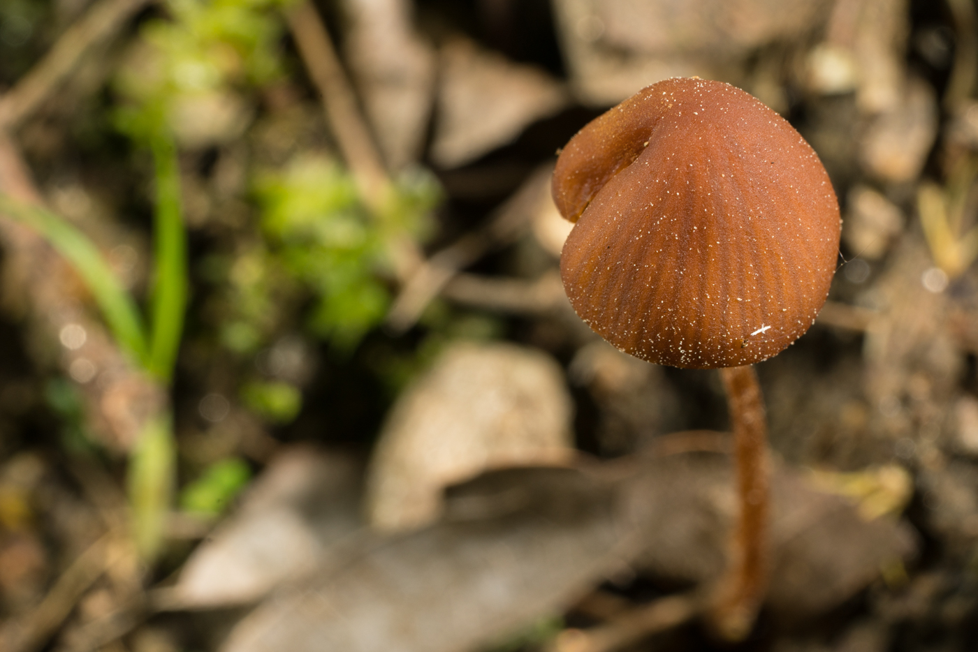 YDY07095.jpg