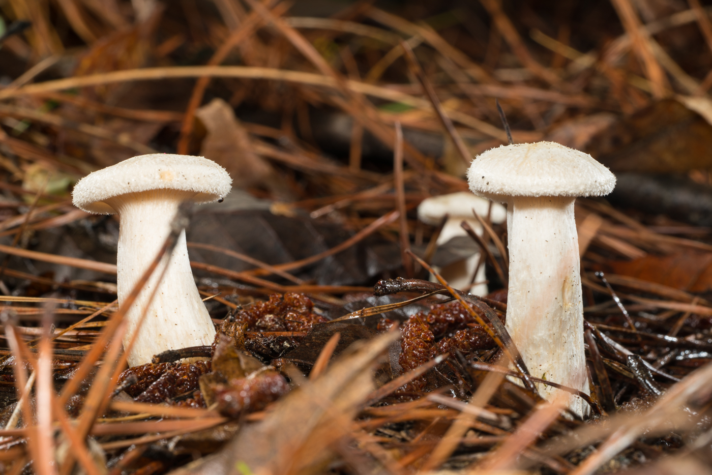 YDY02567.jpg