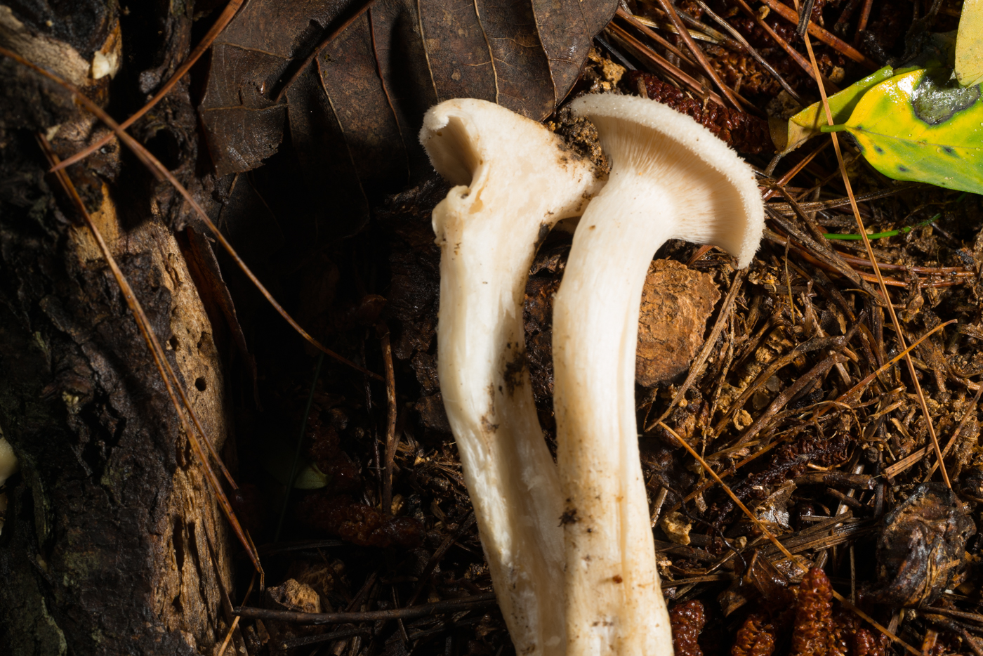 YDY02584.jpg