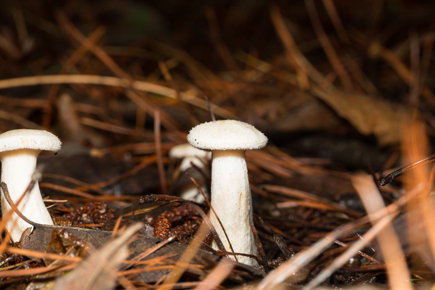 YDY02564.jpg