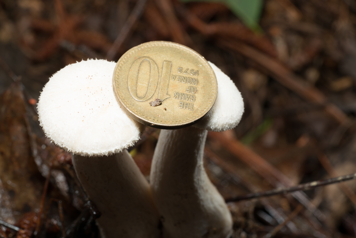 YDY02575.jpg