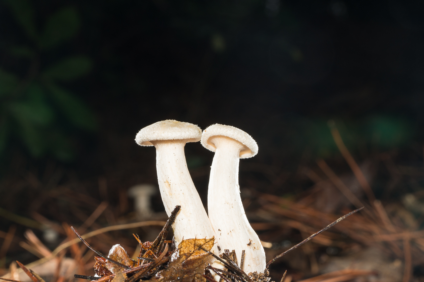 YDY02570.jpg