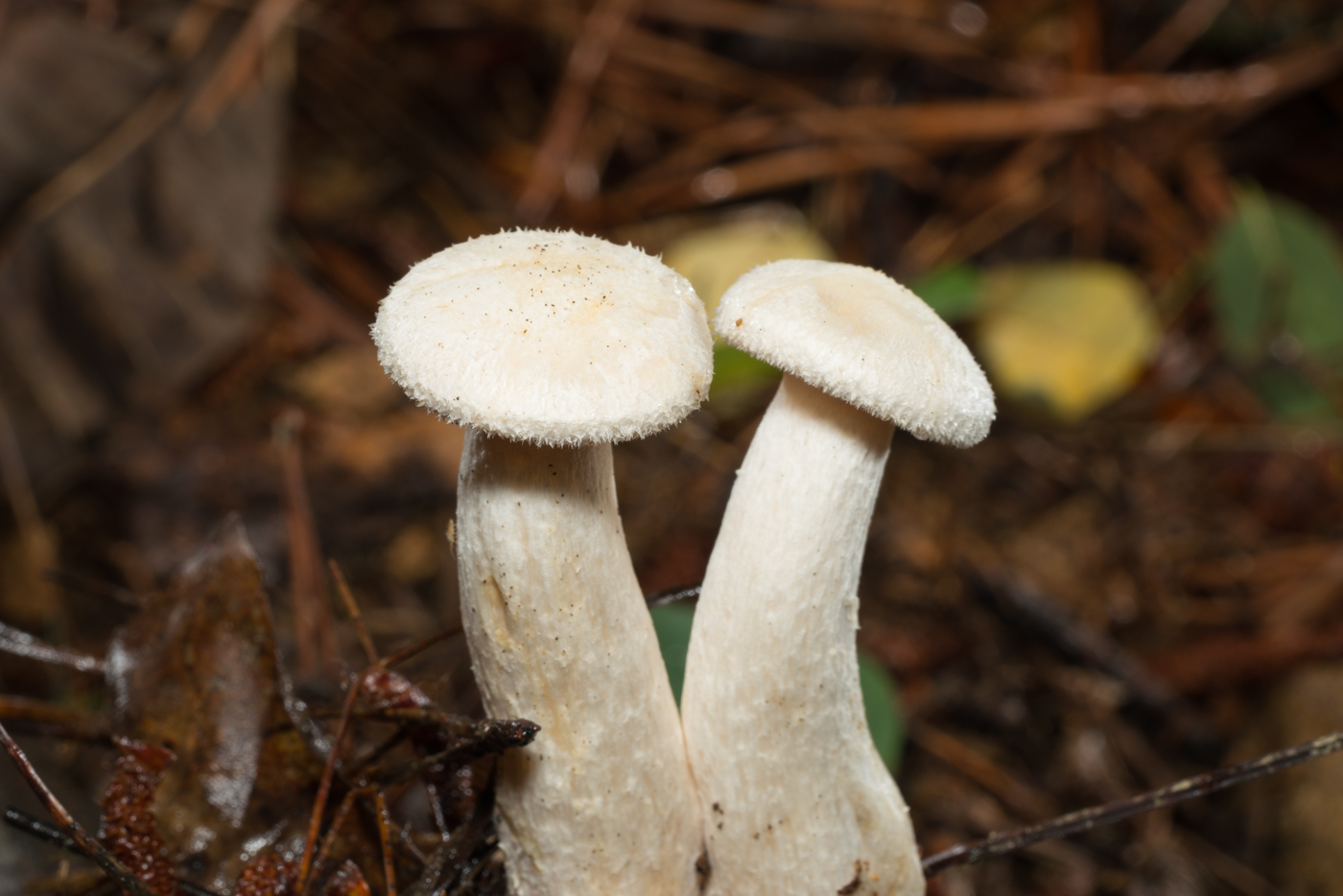 YDY02573.jpg