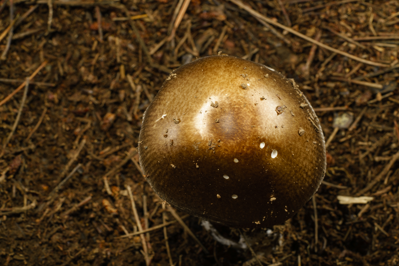 YDY00540.jpg