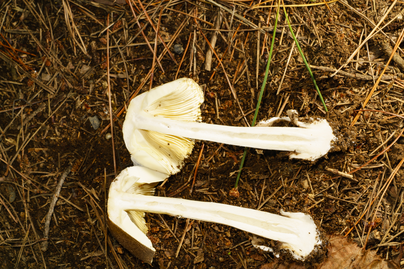 YDY00549.jpg