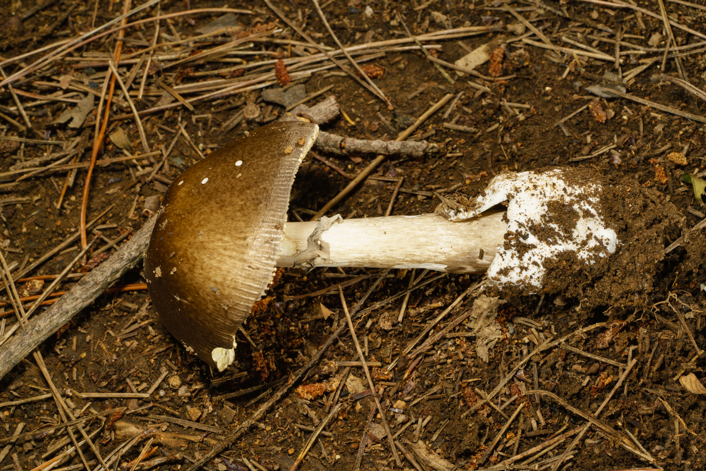YDY00544.jpg