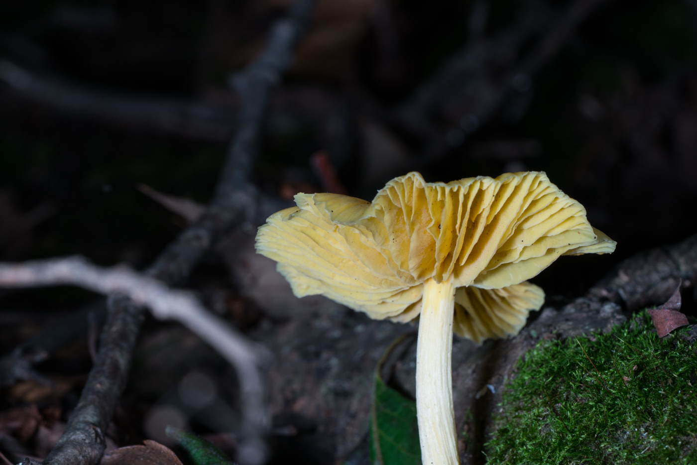 YDY05023.jpg