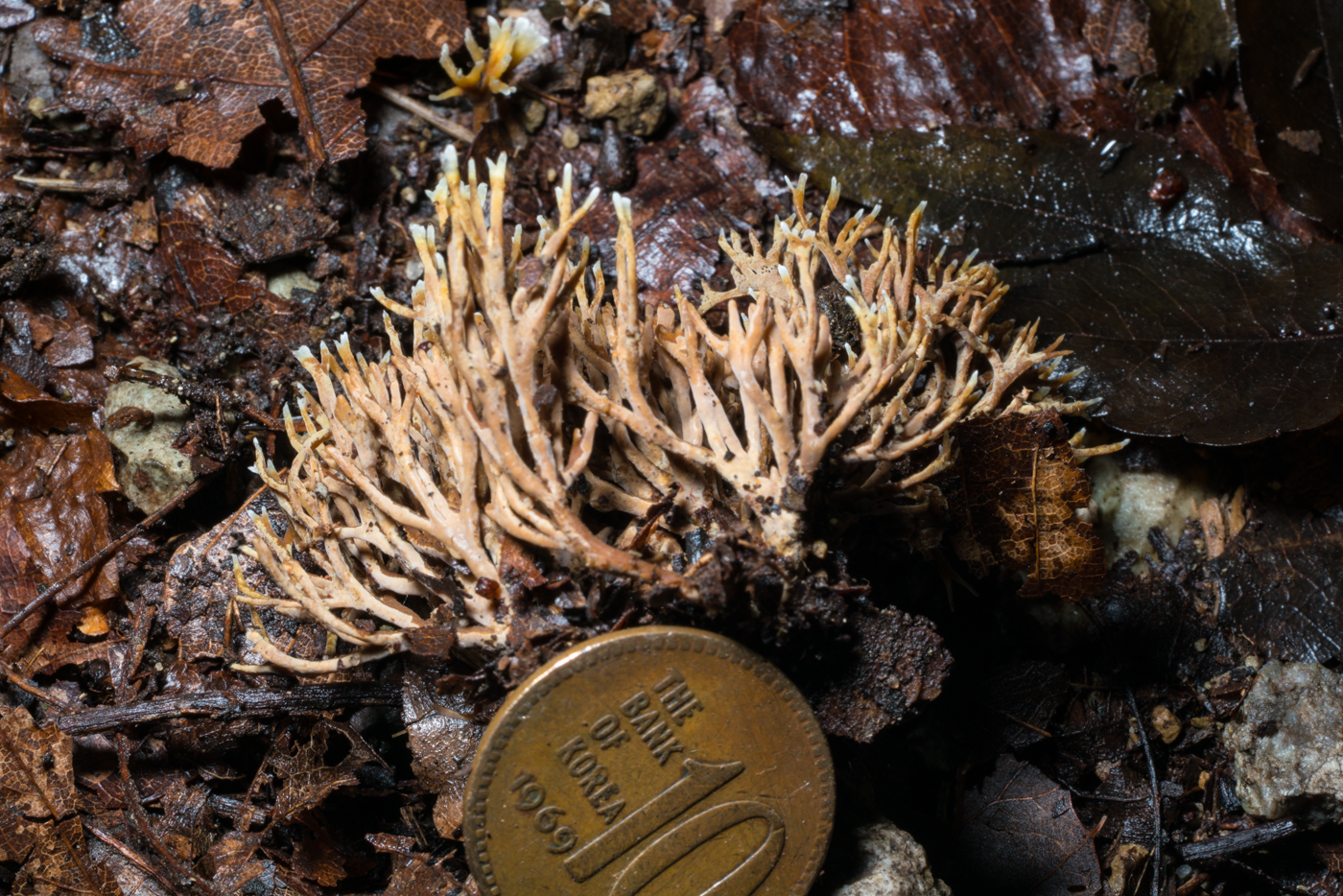 YDY04033.jpg