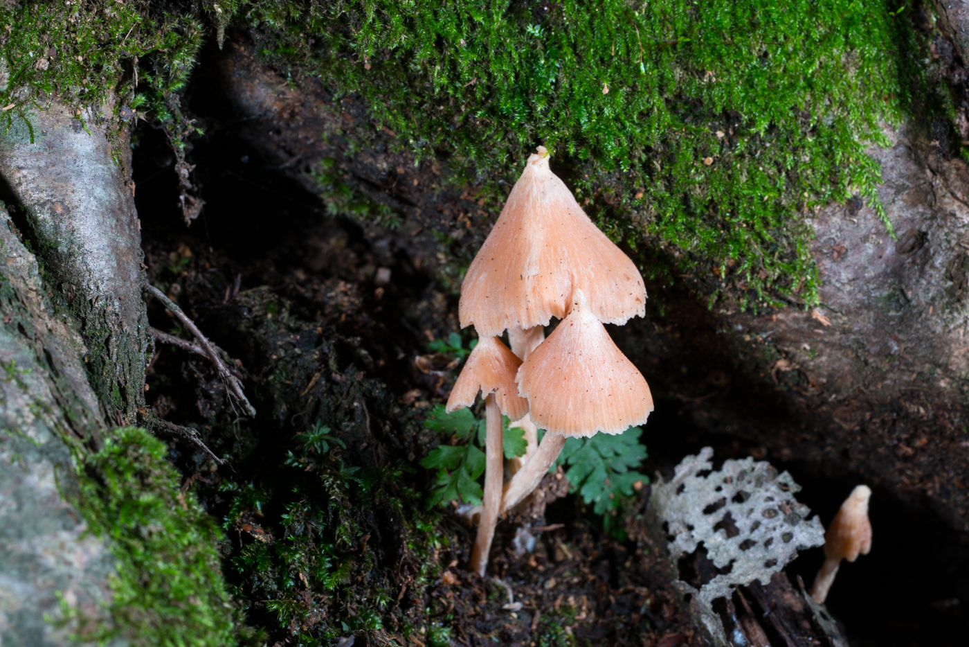 YDY05051.jpg