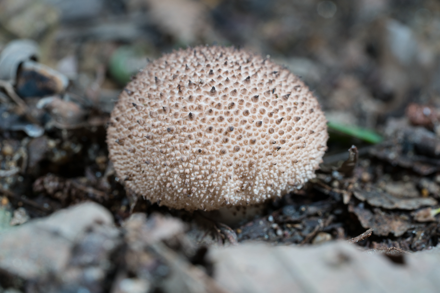 YDY05061.jpg
