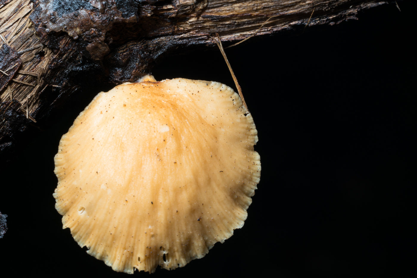 YDY03962.jpg