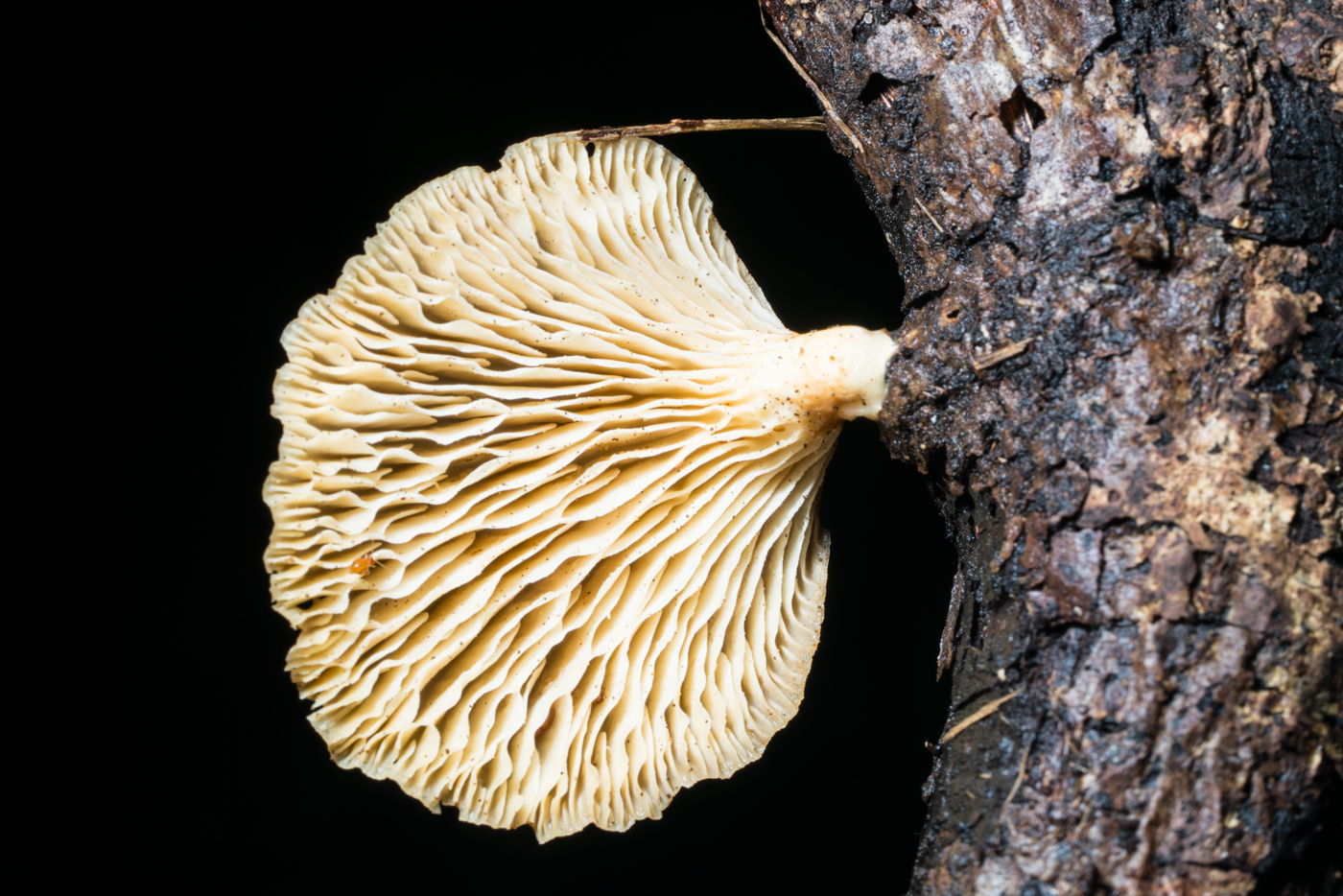 YDY03964.jpg