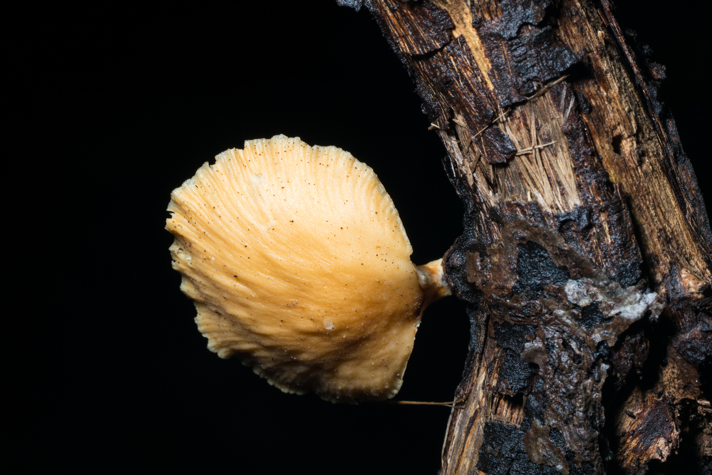 YDY03965.jpg