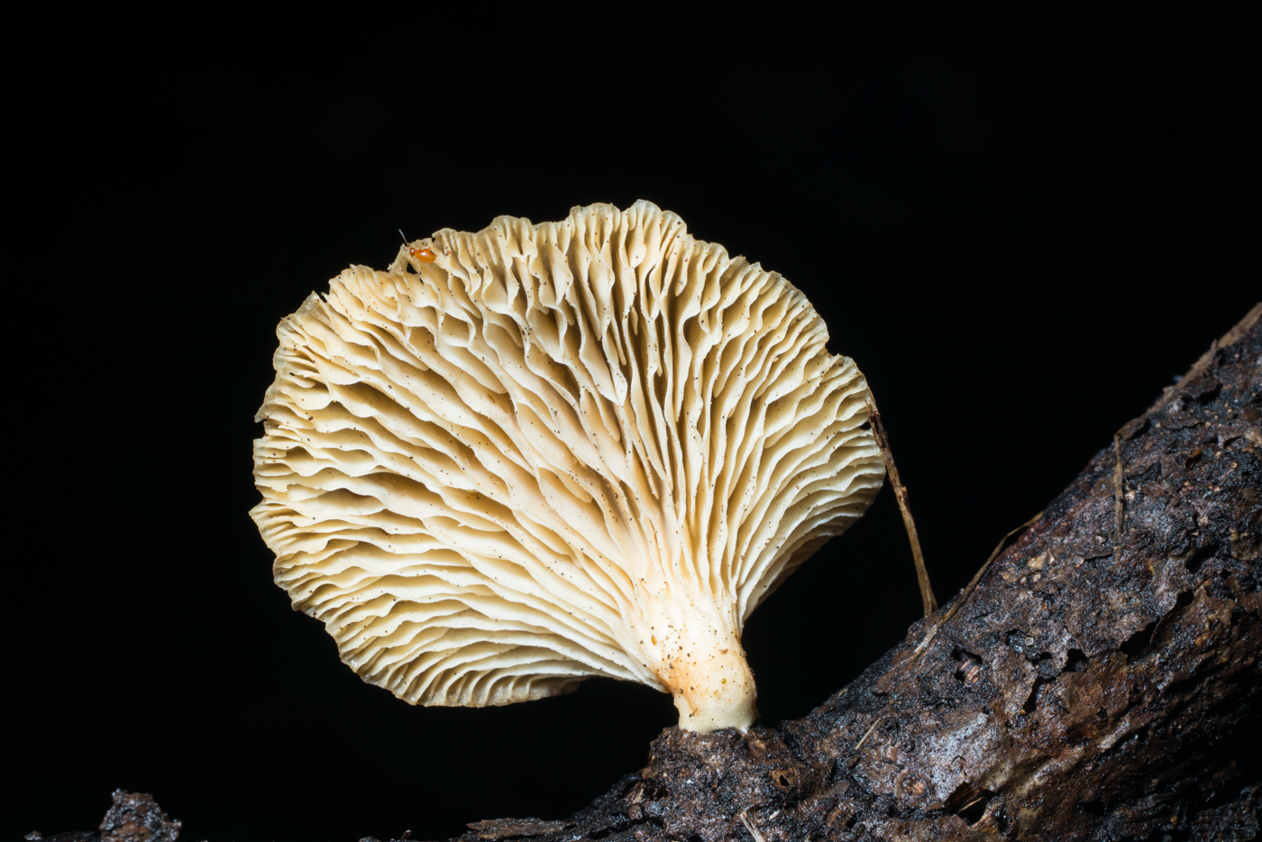 YDY03960.jpg