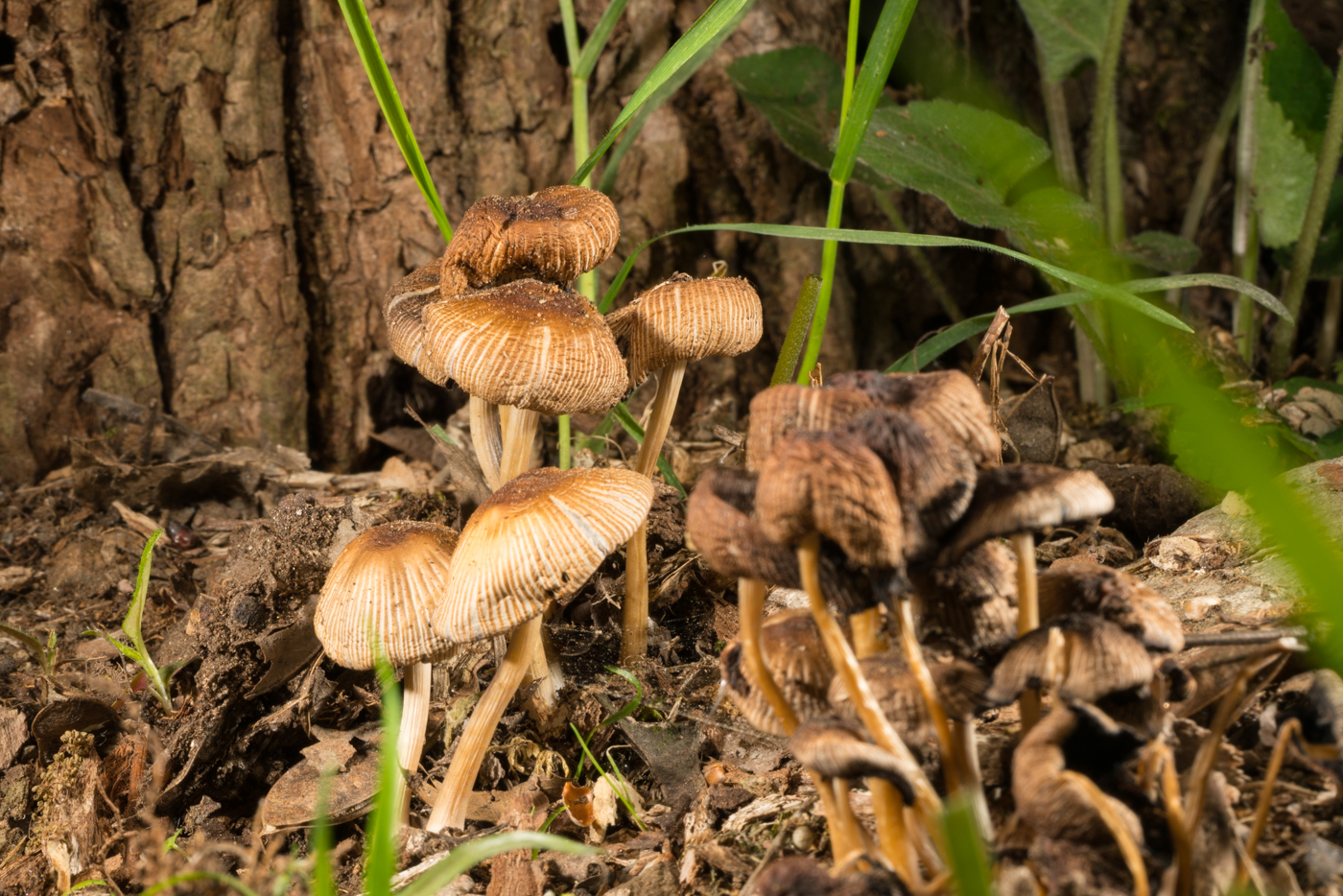 YDY07110.jpg