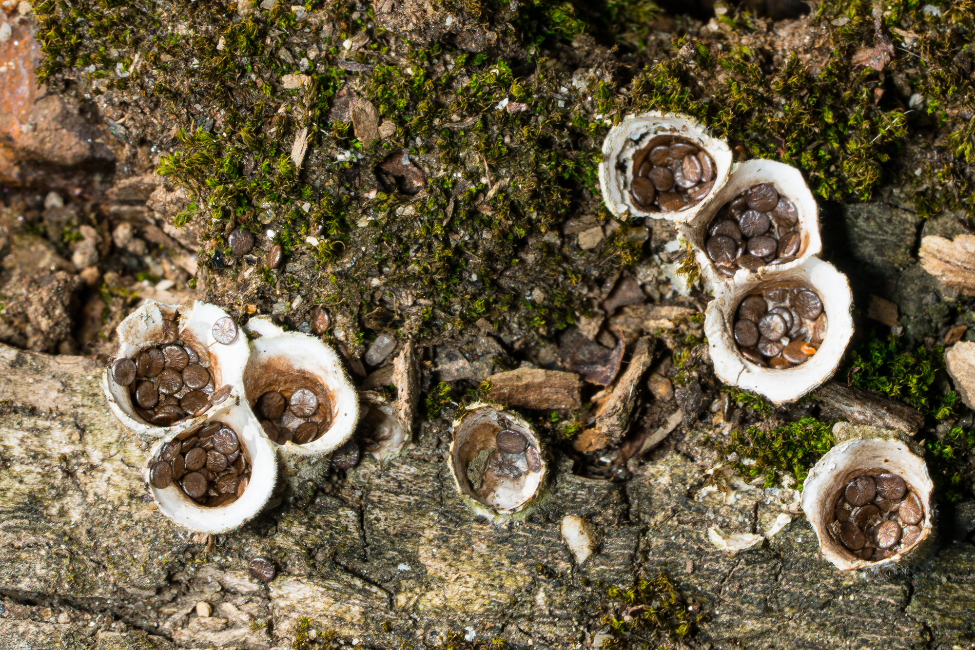 YDY06890.JPG