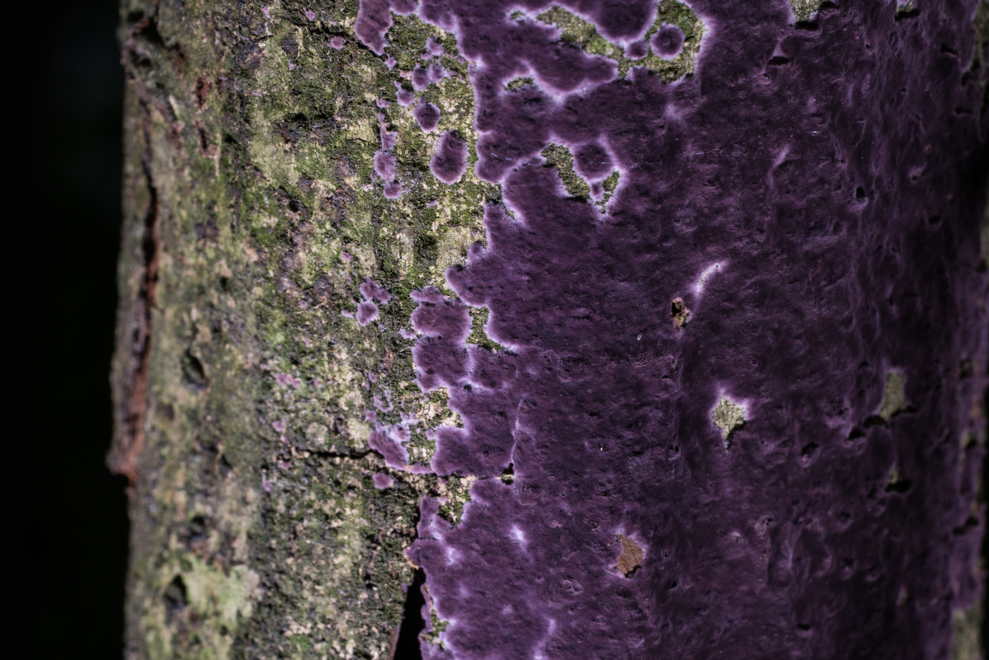 YDY06480.jpg