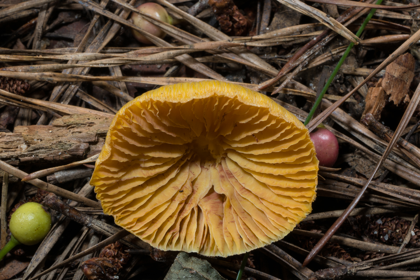 YDY04894.jpg