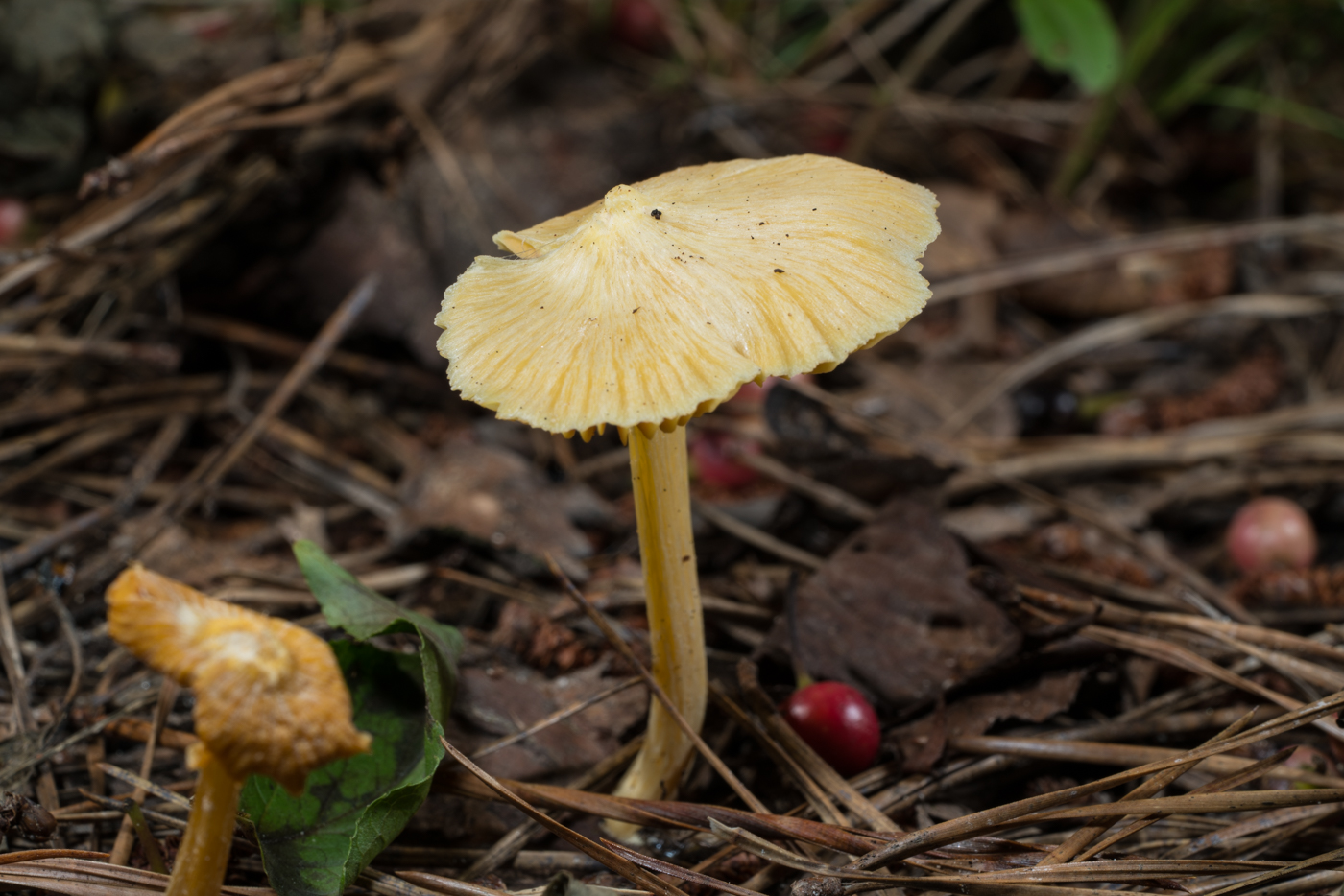 YDY04889.jpg
