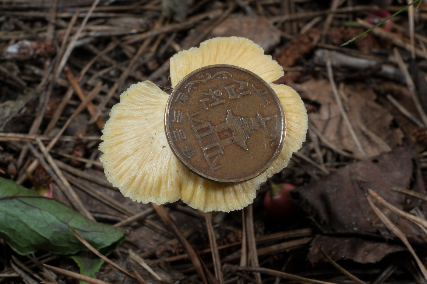 YDY04893.jpg