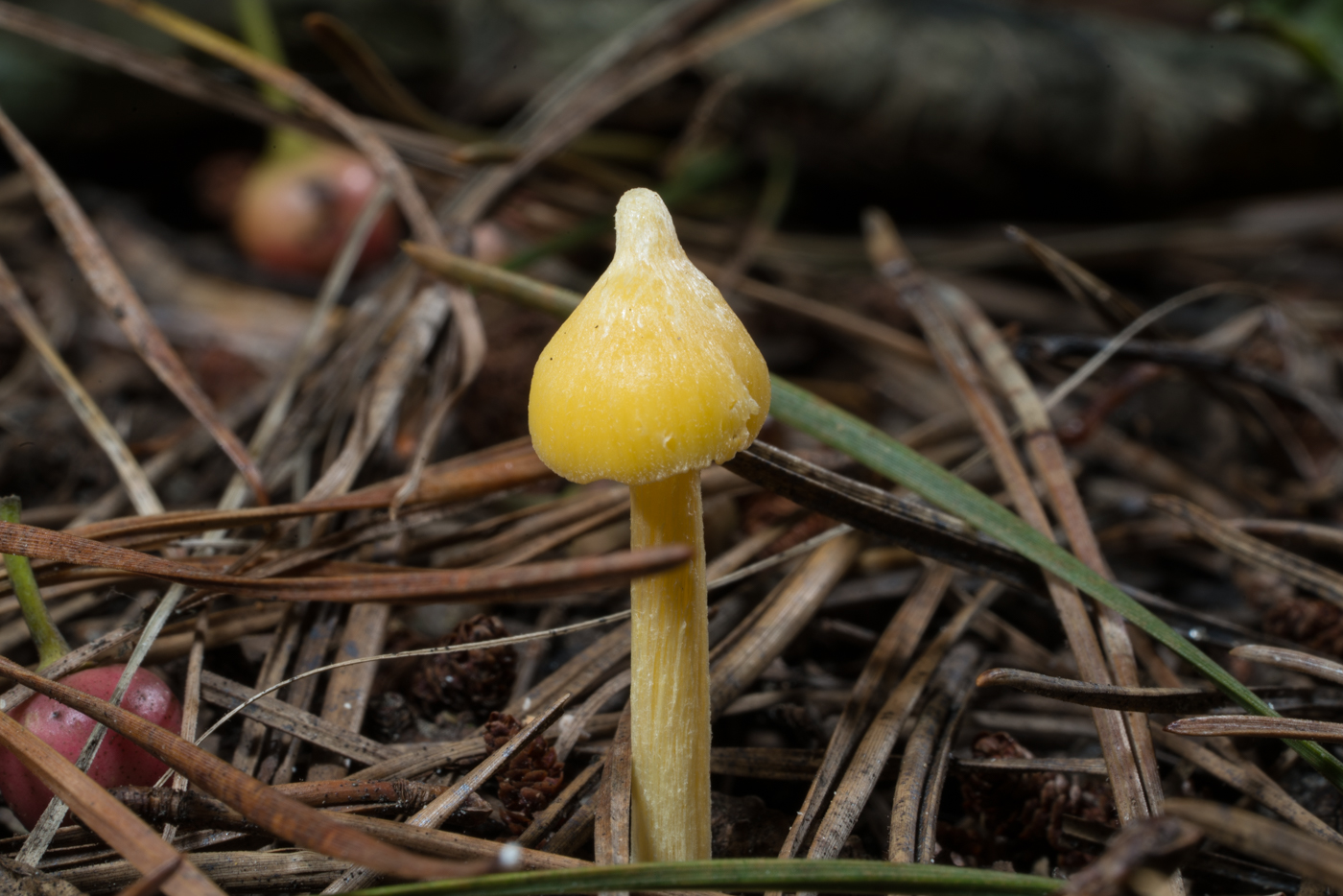 YDY04891.jpg