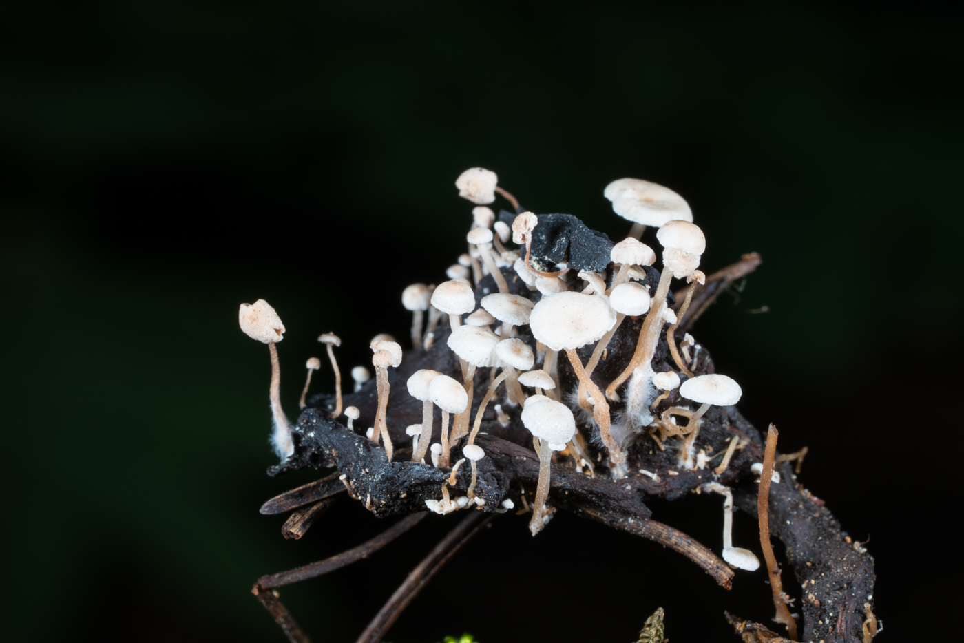 YDY06558.jpg
