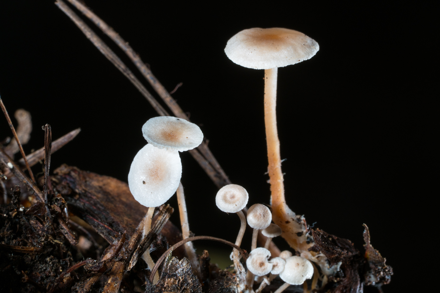 YDY06548.jpg