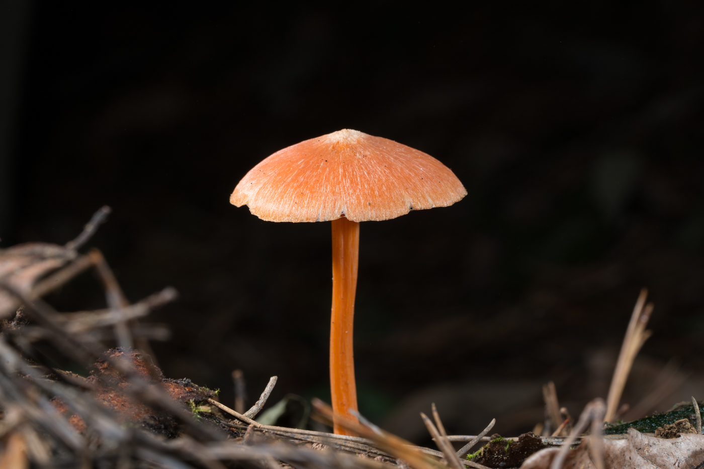 YDY04879.jpg
