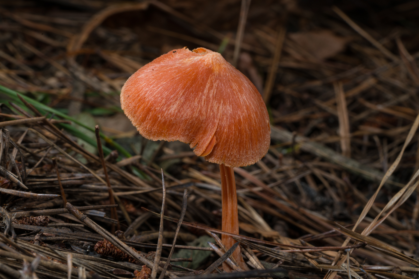 YDY04895.jpg