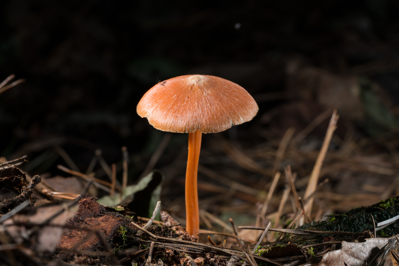 YDY04883.jpg