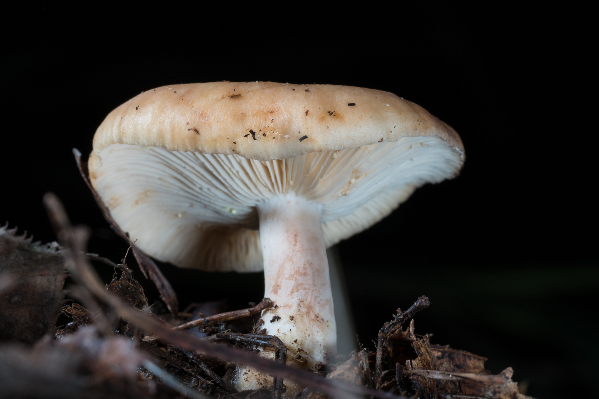 YDY06533.jpg
