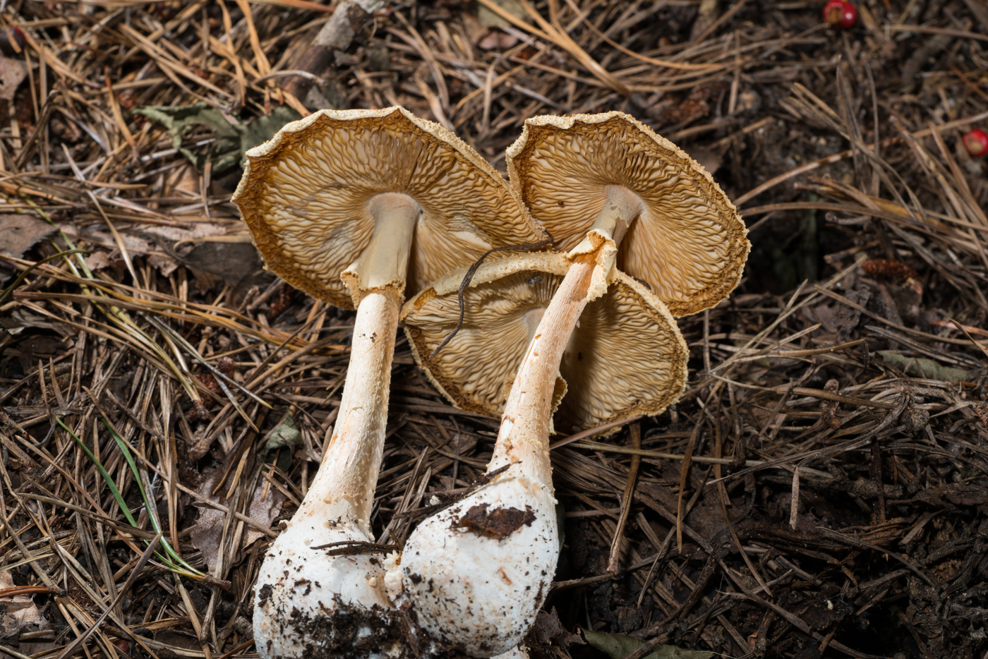 YDY04911.jpg
