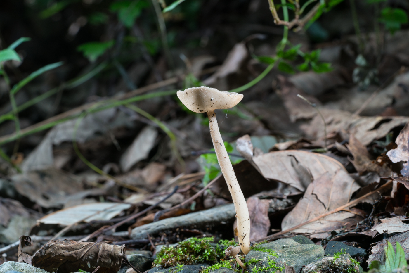 YDY05417.jpg