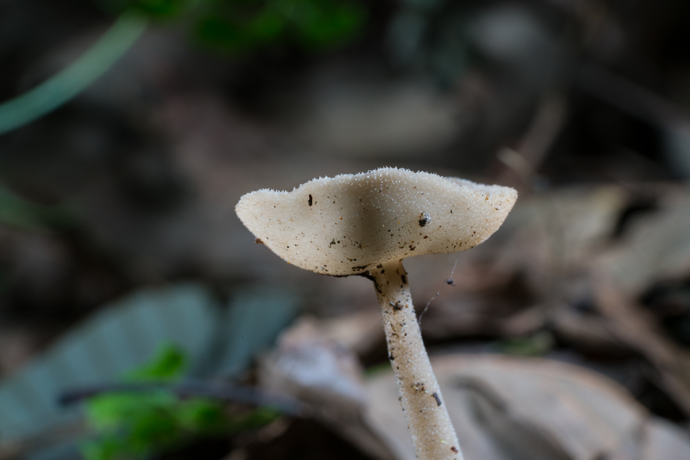 YDY05416.jpg