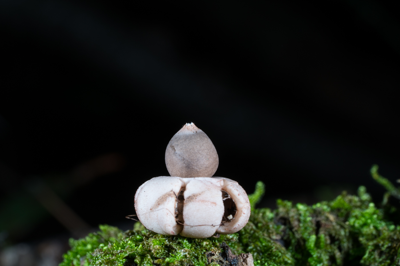 YDY06564.jpg