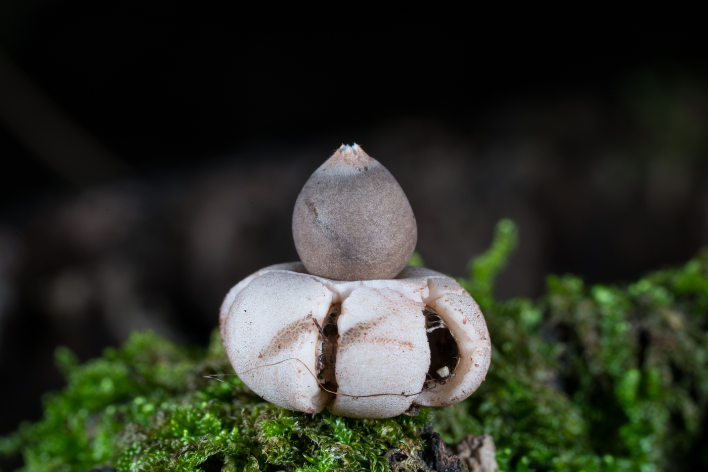 YDY06566.jpg