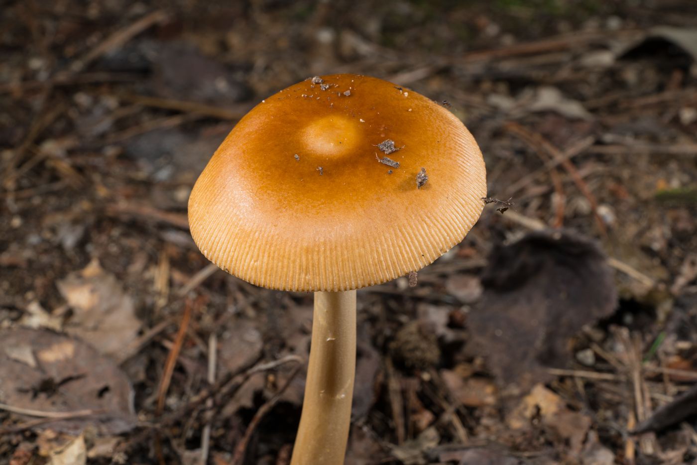 YDY04868.jpg