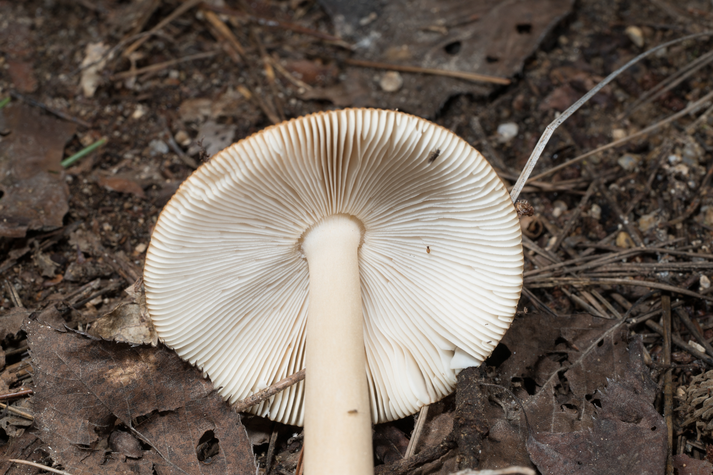 YDY04872.jpg