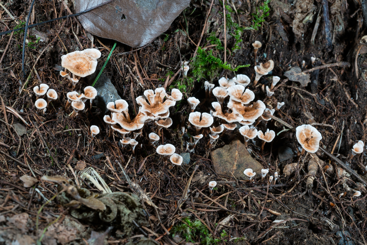 YDY05424.jpg