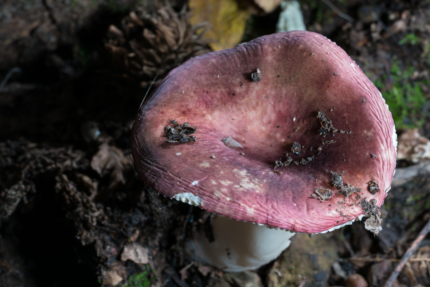 YDY06587.jpg