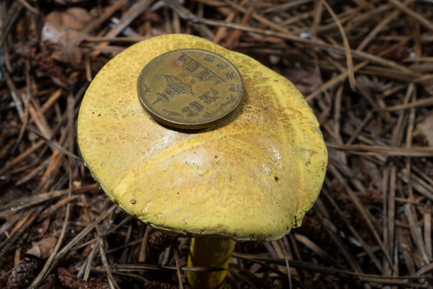 YDY04837.jpg