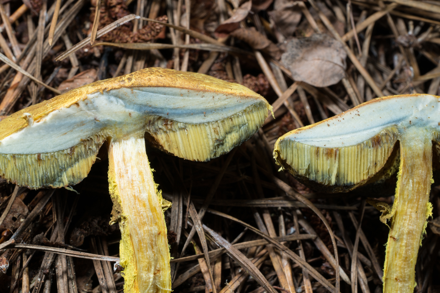 YDY04841.jpg