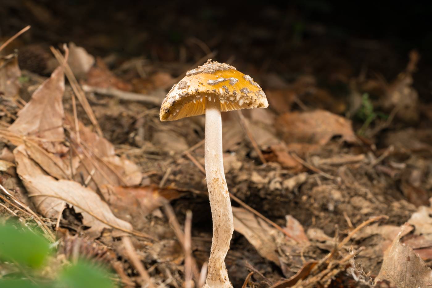 YDY08847.jpg