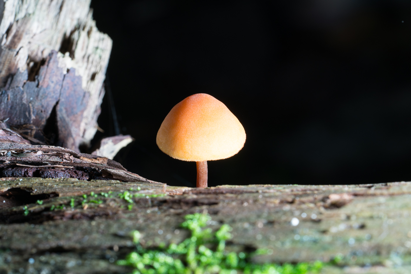 YDY05491.jpg