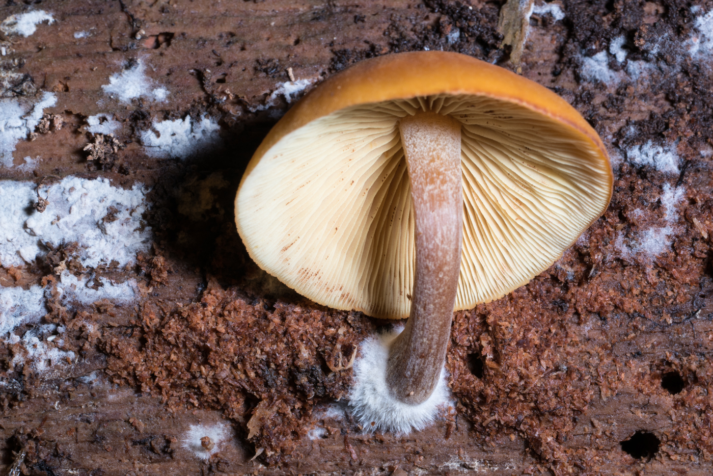 YDY05460.jpg