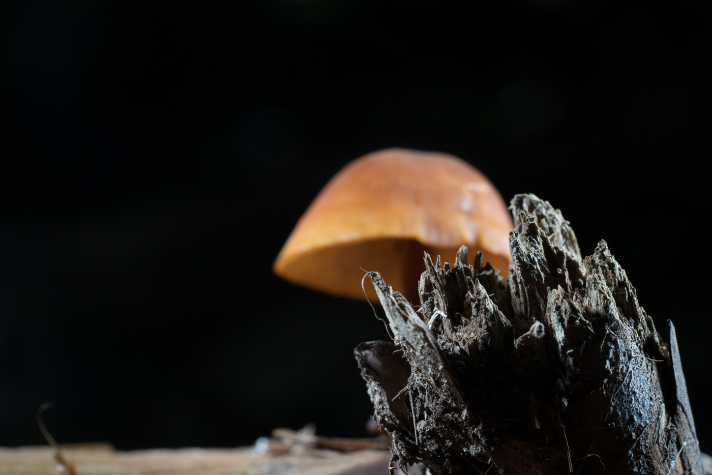YDY05470.jpg