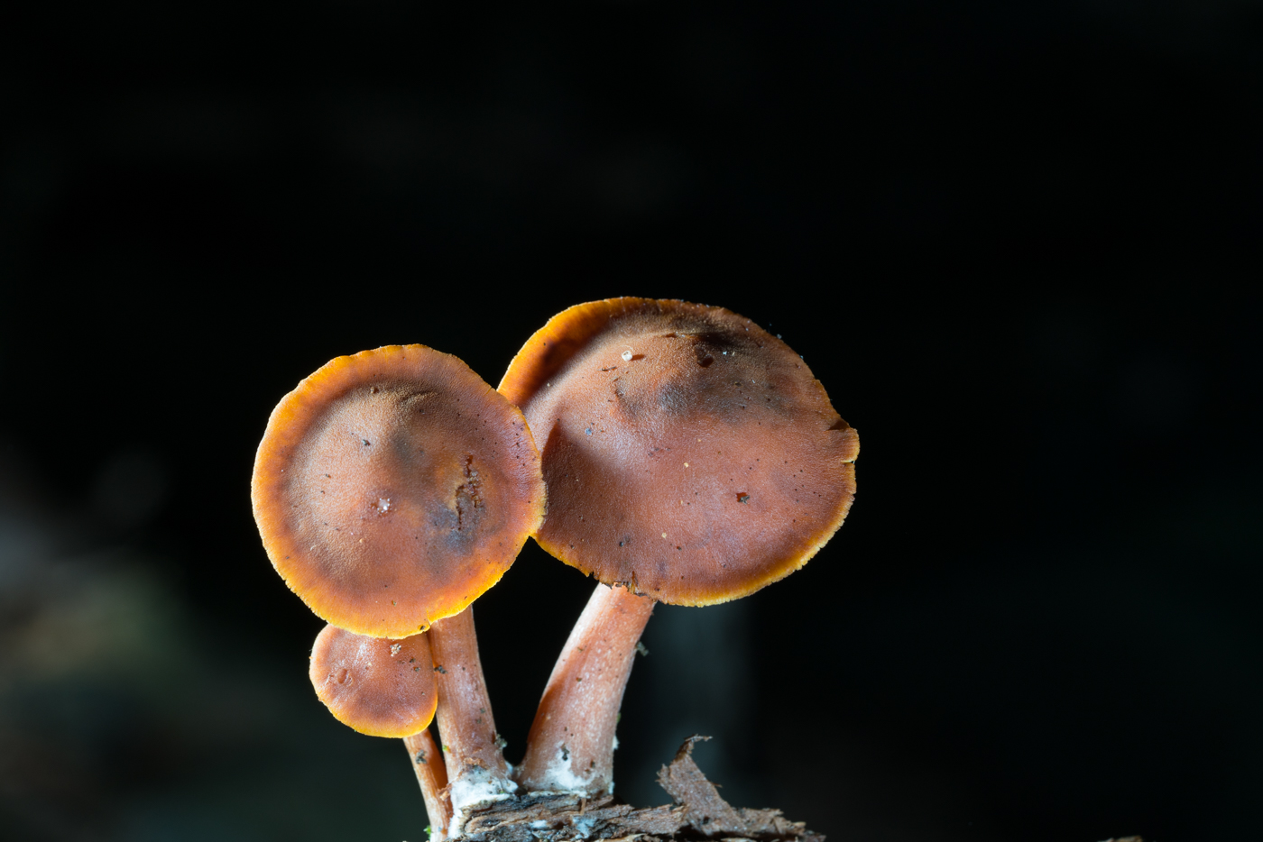 YDY05486.jpg